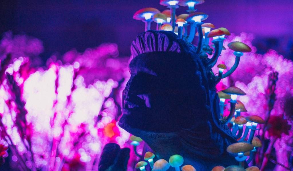Conoce Microenormous, una nueva experiencia sensorial en la CDMX 4 Microenormous, una nueva experiencia sensorial en la CDMX