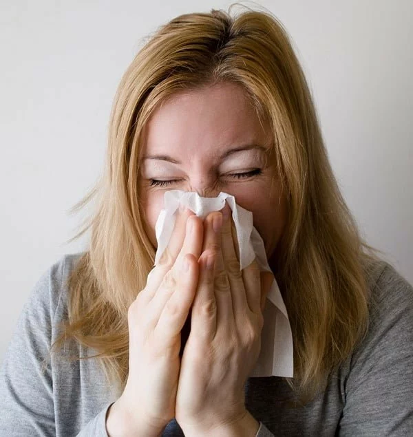 Aprende a diferenciar la alergia estacional de un resfriado común. Foto Mojpe en Pixabay