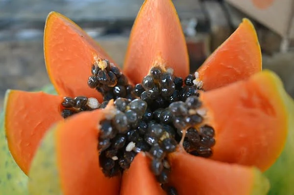 La papaya facilita la digestión. Rogerio Rogeriomda en Pixabay