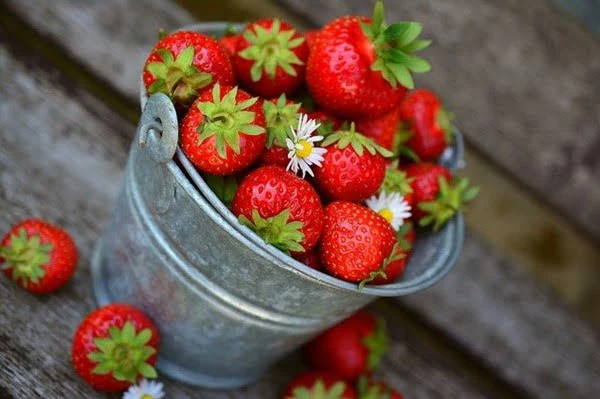 Las fresas son muy ricas y nutritivas. Foto Congerdesign en Pixabay