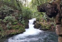 Parque Nacional de Uruapan: 5 datos que tienes que saber Descubre el Parque Nacional Barranca de Cupatitzio en Uruapan. Foto Rafaelalvarezqro Licencia Creative Commons