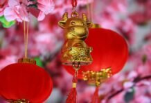 2021, año del buey. Foto Macau Photo Agency para Unsplash