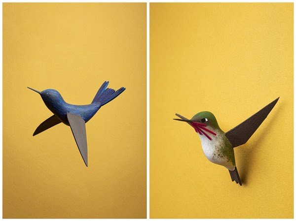 La colección Mundo Colibrí llegará a Oaxaca el próximo verano. Foto Pau Chávez