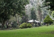 Descubre 5 de los más hermosos parques en la CDMX Parque Loreto y Peña Pobre. 5 hermosos parques gratuitos de la CDMX. Foto Licencias Creative Commons