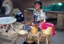 5 sabores de Chiapas para el mundo 5 sabores de Chiapas para el mundo Foto Ingrid Sporn en Pixabay