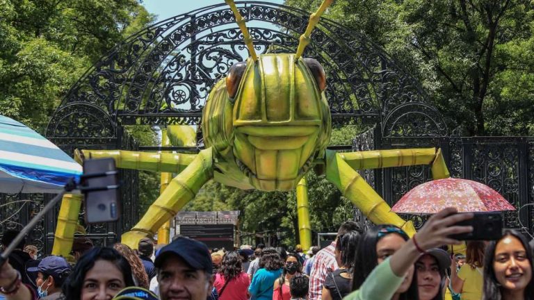 Insecta: el festival de insectos gigantes se queda en Chapultepec hasta julio