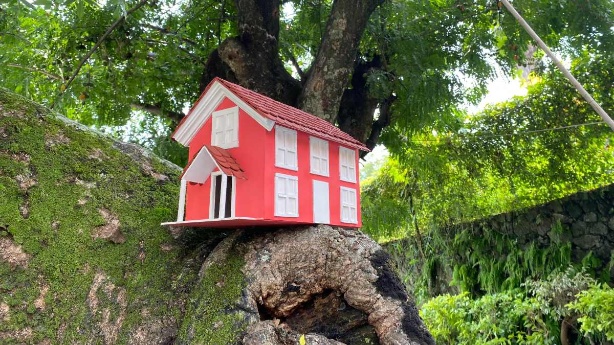 Las casas de Paloma; un proyecto para aves en libertad